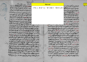 الأزهار المتناثرة في الاخبار المتواترة السيوطي